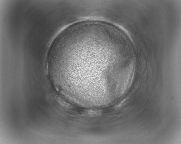 X0000071951271200607212217