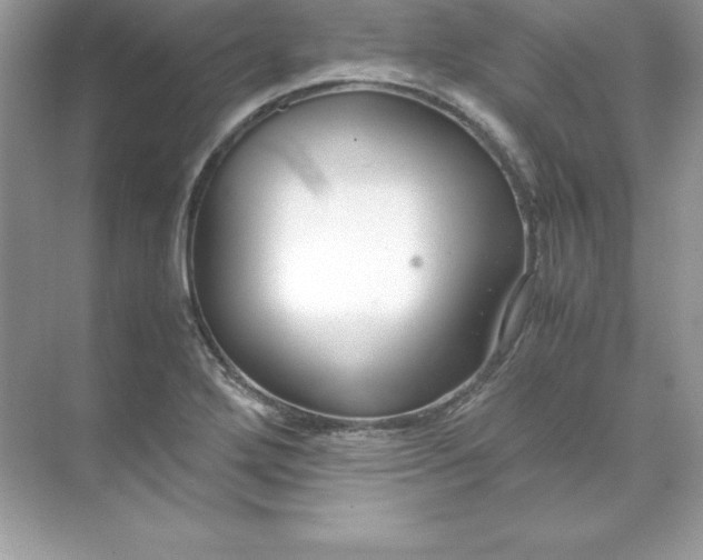 X0000071951272200607212217