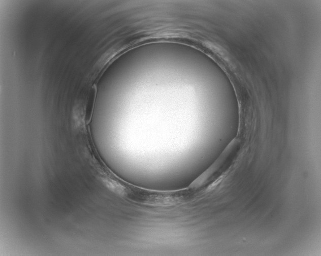 X0000071951273200607212217