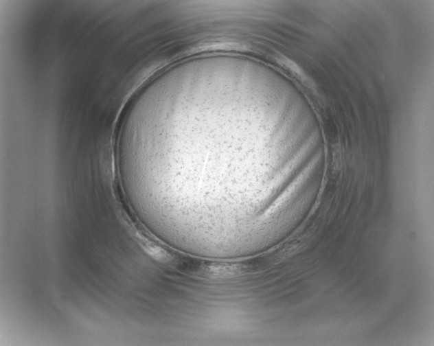 X0000071951274200607212217