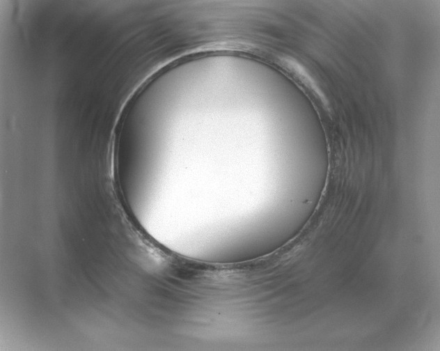 X0000071951276200607212217