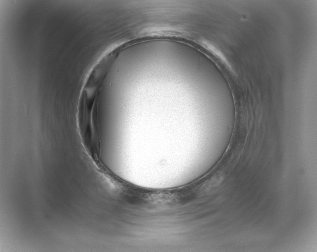 X0000071951277200607212217