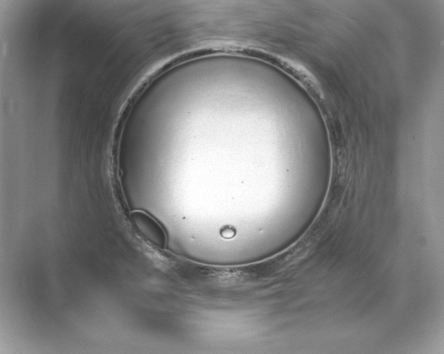 X0000071951279200607212217