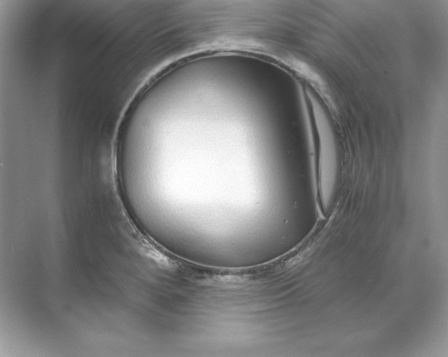 X0000071951280200607212217