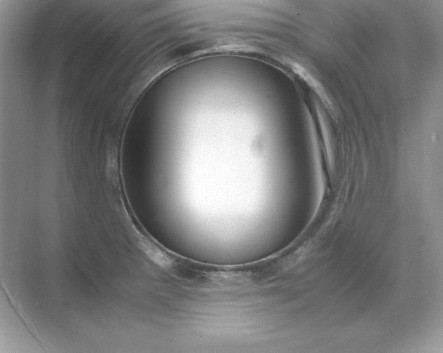 X0000071951281200607212217