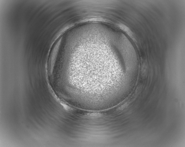 X0000071951282200607212217