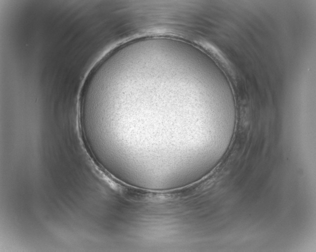 X0000071951286200607212217