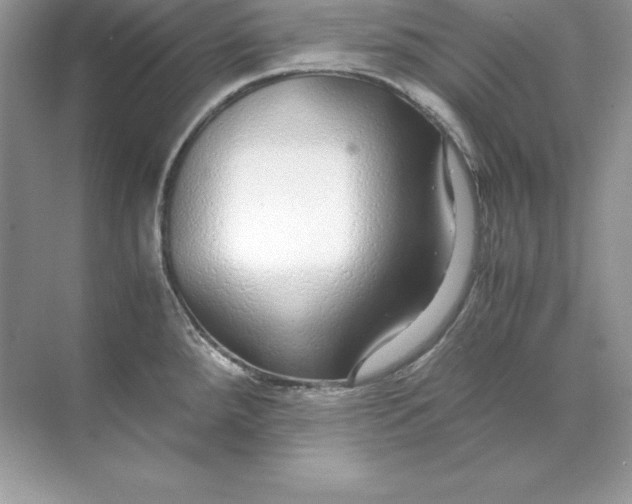 X0000071951288200607212217