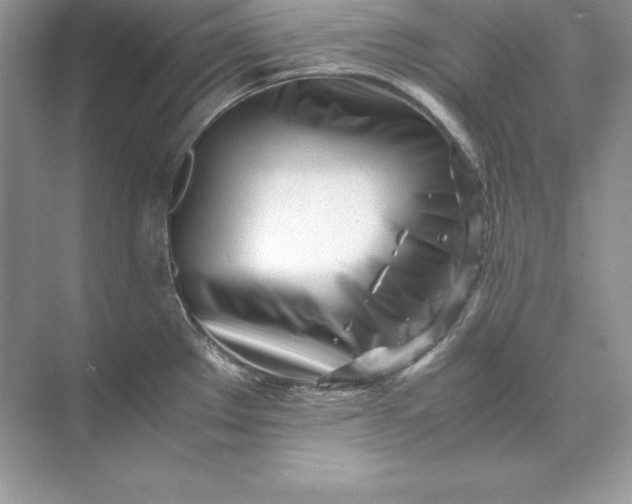 X0000071951289200607212217