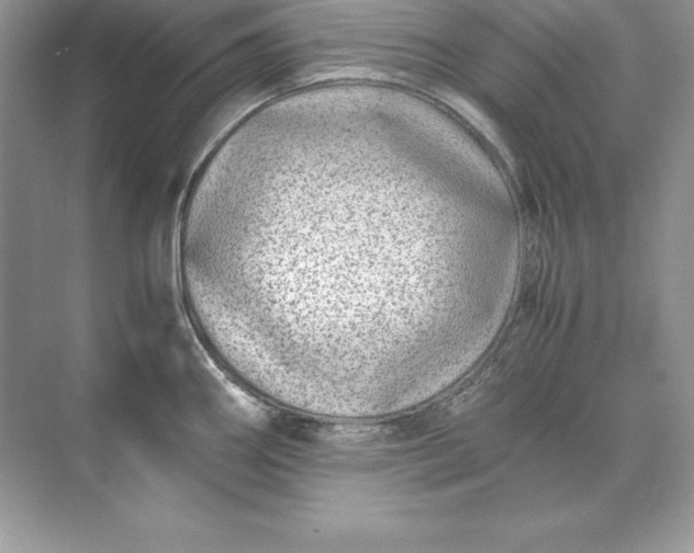 X0000071951290200607212217