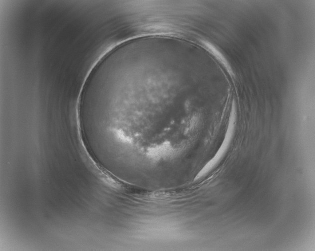 X0000071951291200607212217