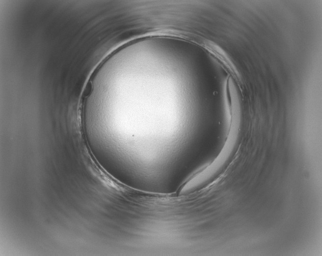 X0000071951292200607212217