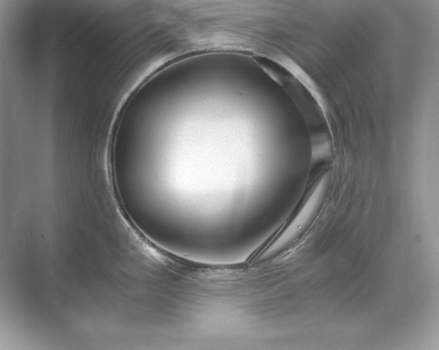 X0000071951293200607212217