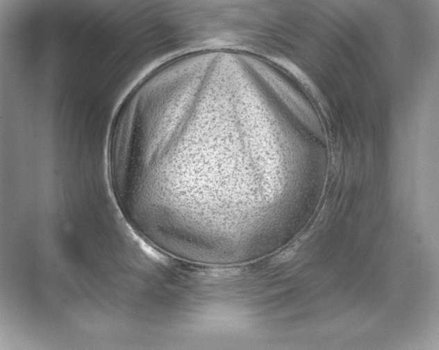 X0000071951294200607212217