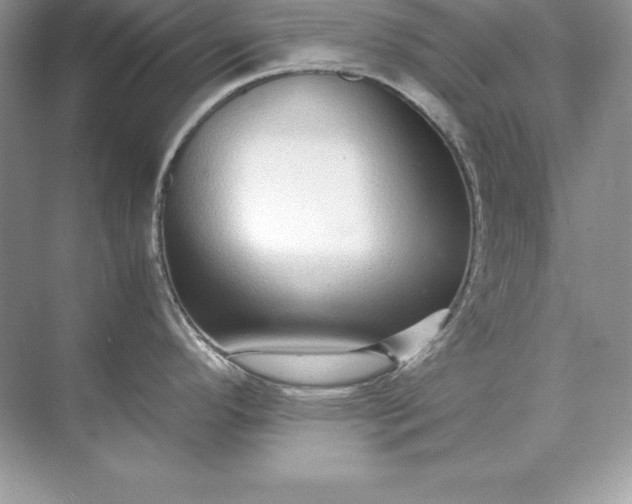 X0000071951296200607212217