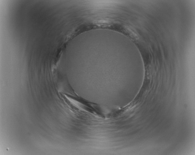 X0000071951298200607212216