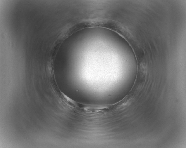 X0000071951300200607212216