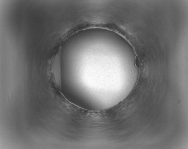 X0000071951301200607212216