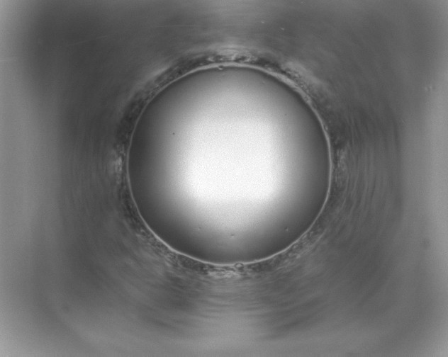 X0000071951302200607212216