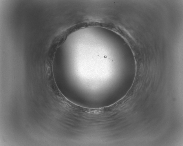 X0000071951303200607212216