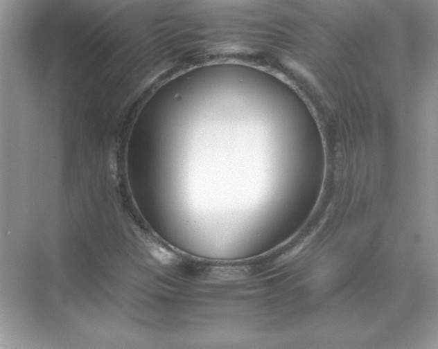 X0000071951305200607212216