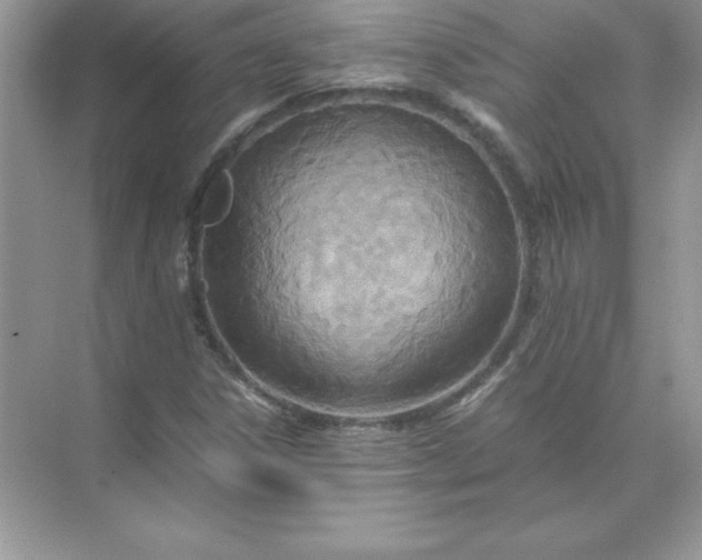 X0000071951306200607212216