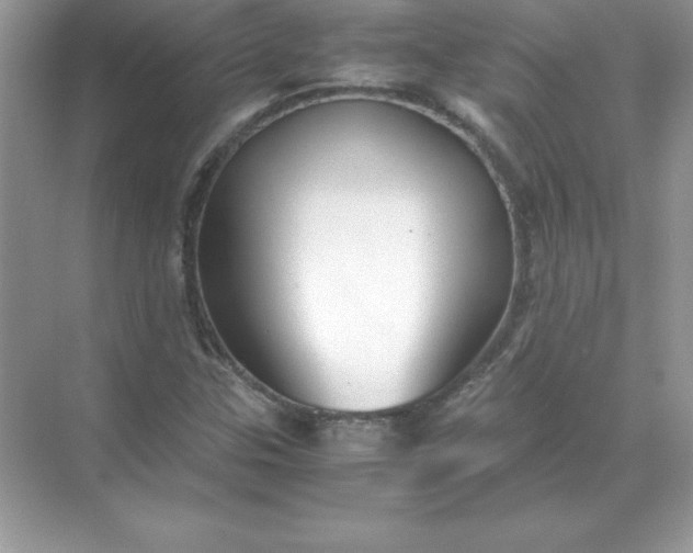 X0000071951307200607212216