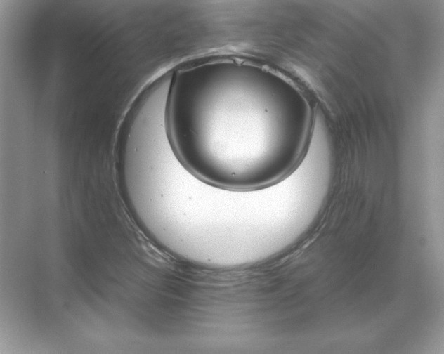 X0000071951308200607212216