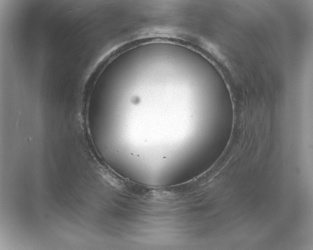 X0000071951312200607212216