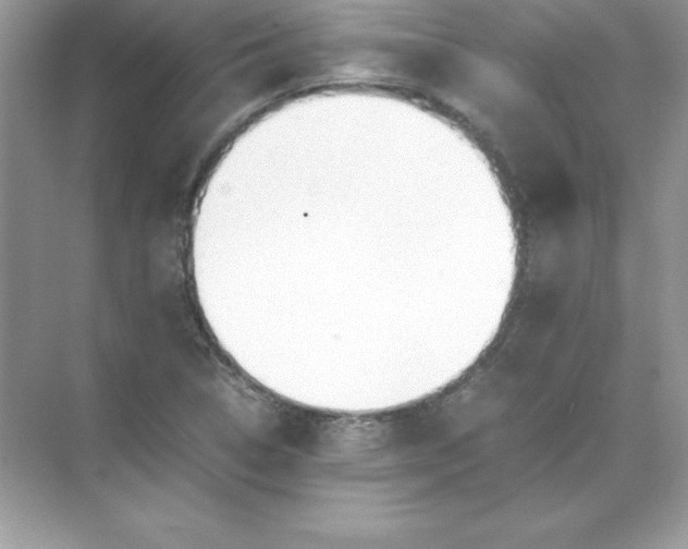 X0000071951314200607212216