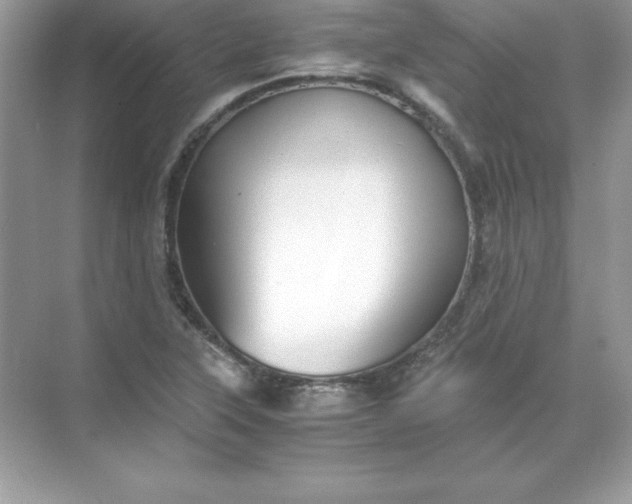 X0000071951315200607212216