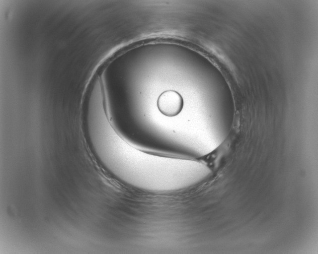 X0000071951316200607212216