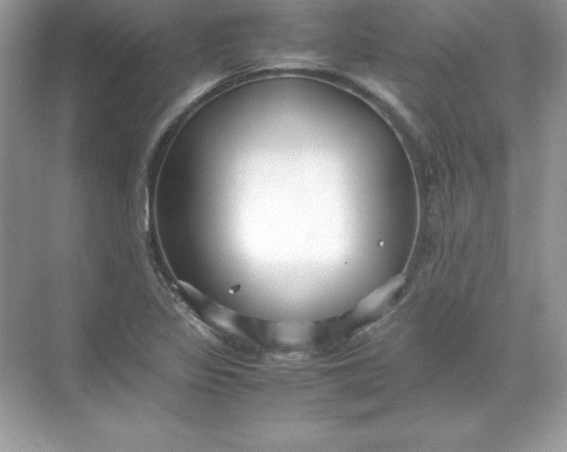 X0000071951317200607212216