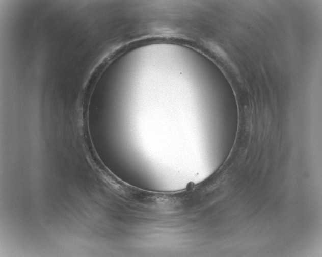 X0000071951318200607212216