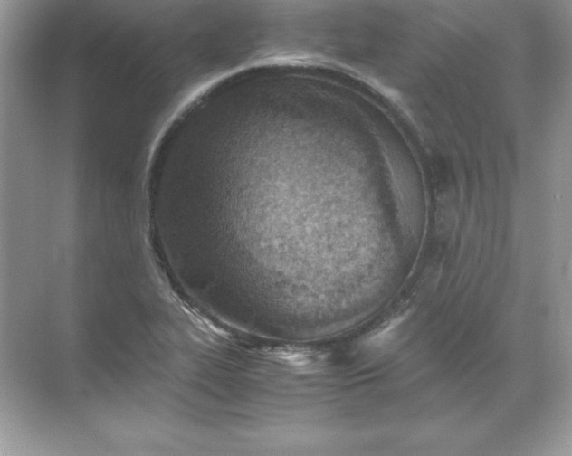 X0000071951319200607212216