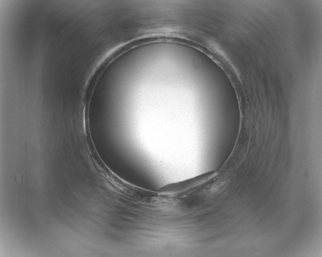 X0000071951320200607212216