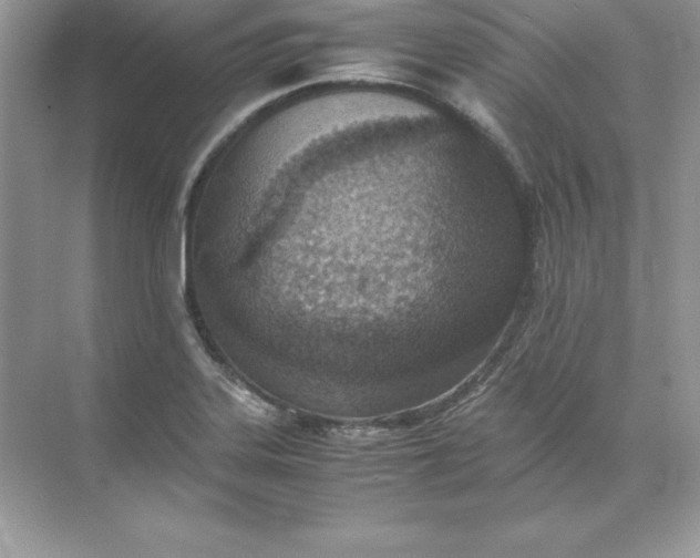 X0000071951323200607212216