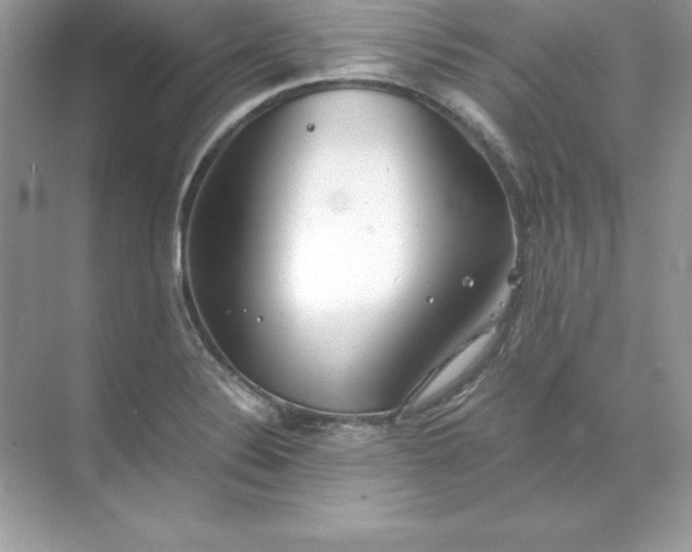 X0000071951324200607212216