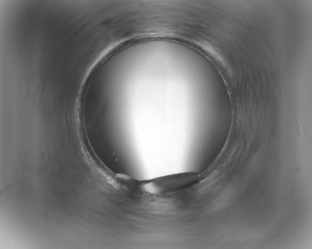 X0000071951325200607212216