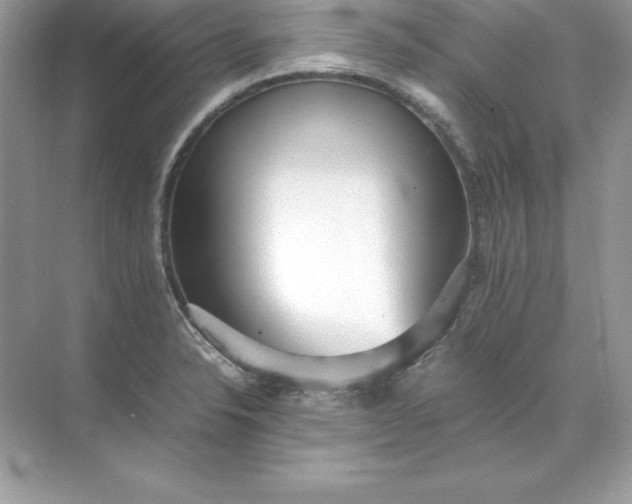 X0000071951326200607212216