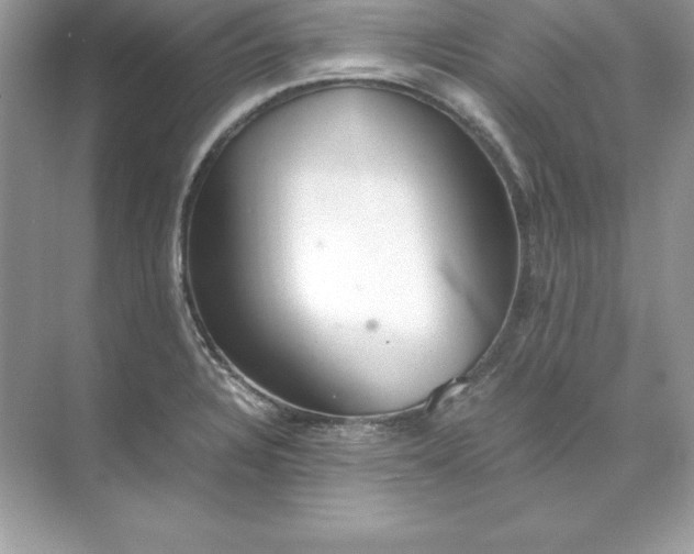 X0000071951328200607212216