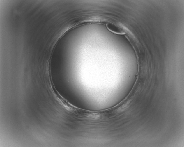 X0000071951329200607212216