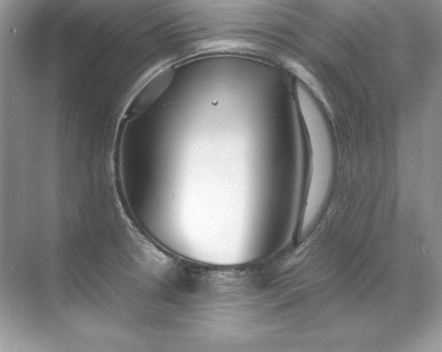 X0000071951330200607212216