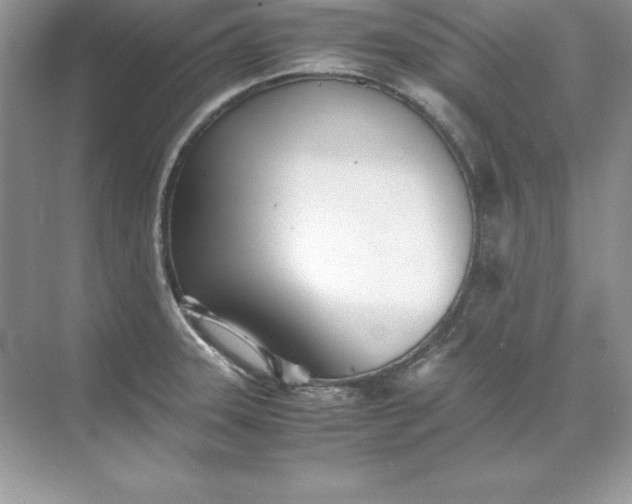 X0000071951331200607212216