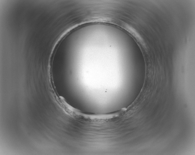 X0000071951332200607212216