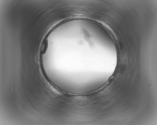 X0000071951333200607212216