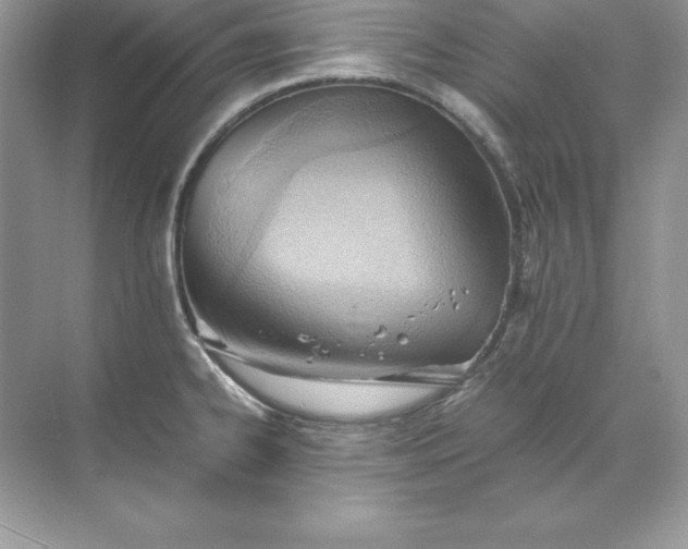 X0000071951334200607212216