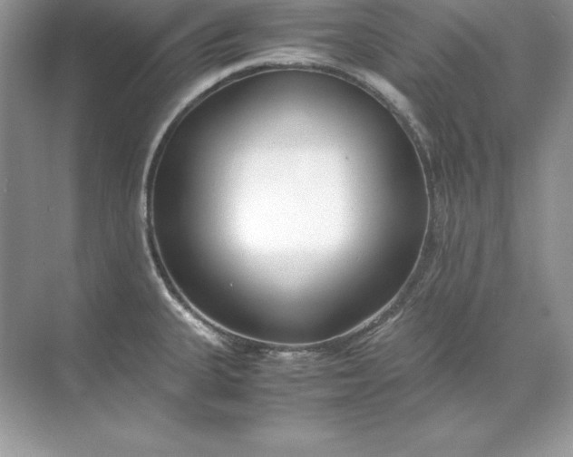 X0000071951335200607212216