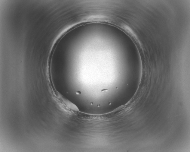 X0000071951336200607212216