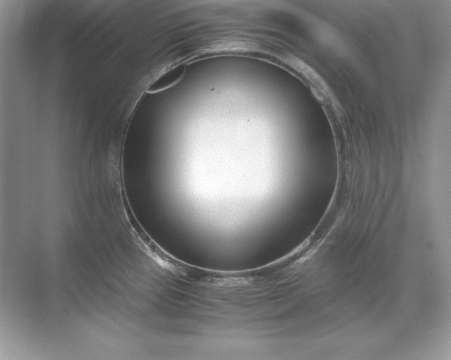 X0000071951337200607212216